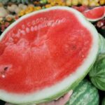 pasteque viagra