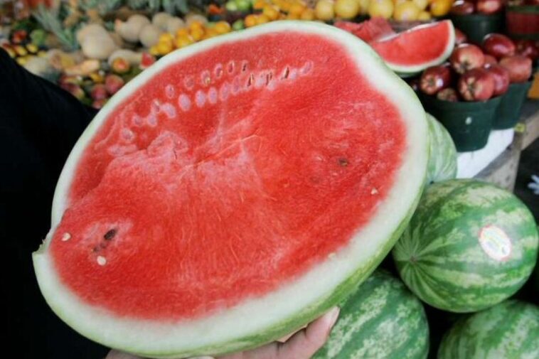 pasteque viagra